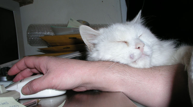 Otto (The Other One)