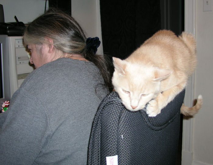He'd sit there for hours